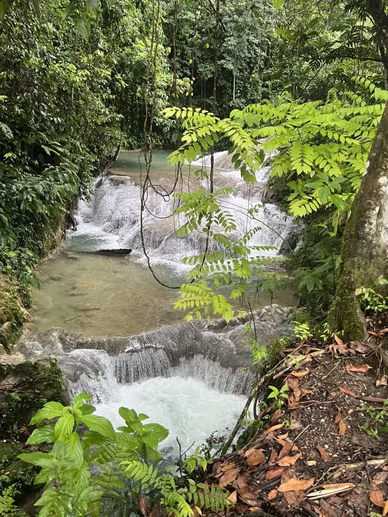 Waterfalls (Benta River Falls)