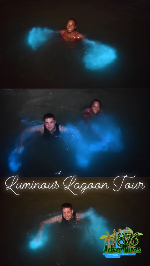 Luminous Lagoons