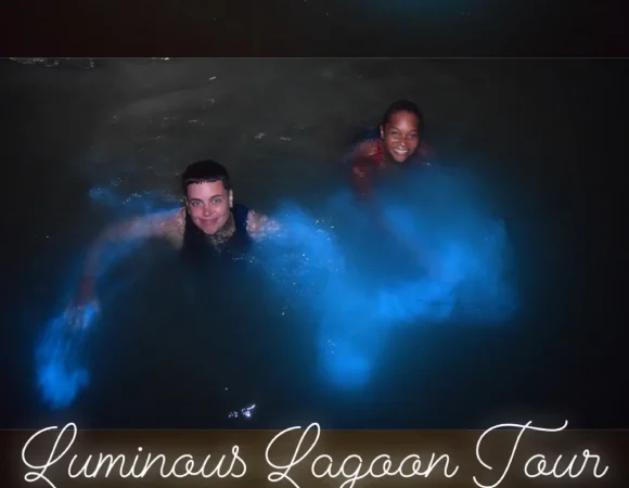 Luminous Lagoons