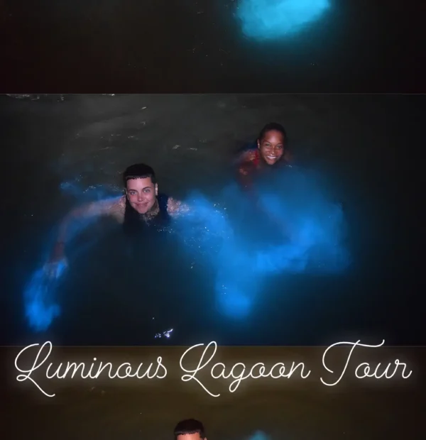 Luminous Lagoons